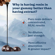 Vellora Wellness Shilajit Gummies